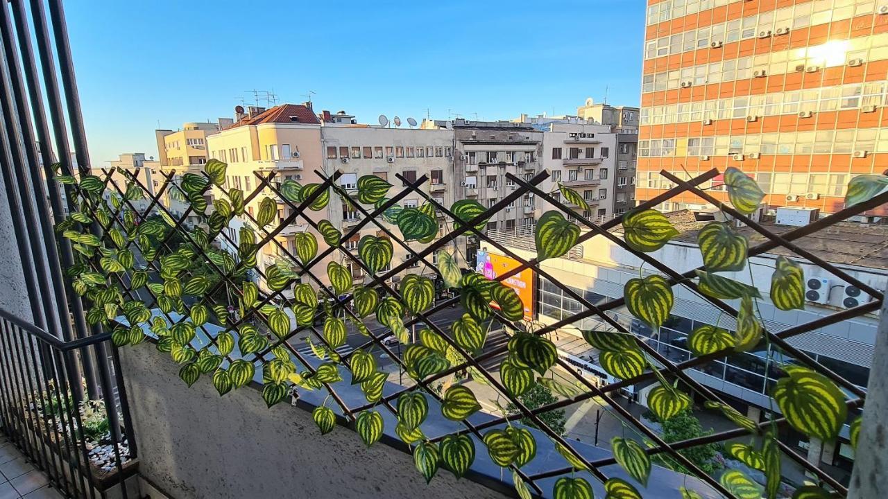 Windows City Apartment Belgrad Exterior foto